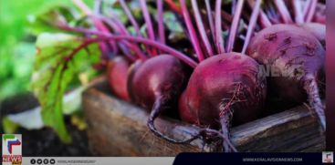 Health Benefits of Beetroot