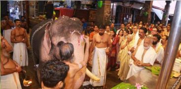 ELEPHANT GURUVAYUR TEMPLE