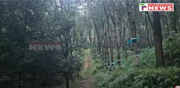 Forest disturbance in Kavitakad area; The need for urgent problem solving is strong