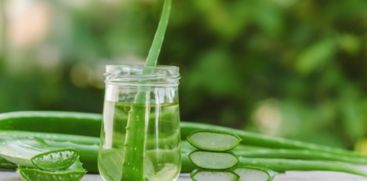 Aloe vera and its health secrets