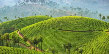 Munnar