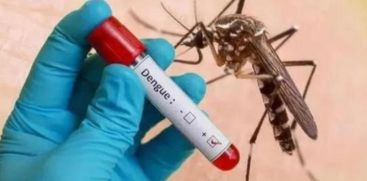 14 people have dengue fever in Arimbur panchayat