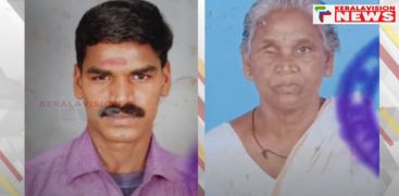 Palakkad mother and son found dead