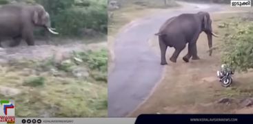 A scarred wild elephant came down in Chinnakanal during the day and spread terror