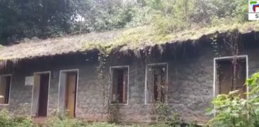 Hundreds of KSEB quarters are being destroyed by forest encroachment