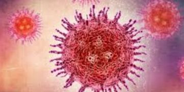 HMPV Virus Detected in Maharashtra