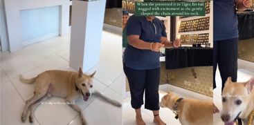 woman-buys-gold-chain-for-her-pet