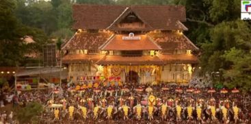 Today, the High Court will again hear the plea on the allegation that Thrissur Pooram was made a mess