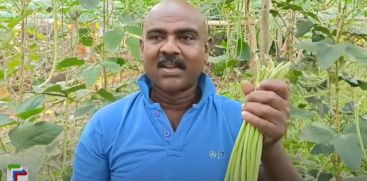 Aneesh, a farmer of Kuttamperur, harvested a hundred in organic vegetable farming