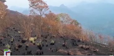 Idukki meenuliyar forest area burnt down; The locals are suspicious