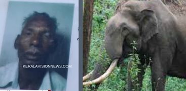 WILD ELEPHANT KILLS MAN IN PALAKKAD