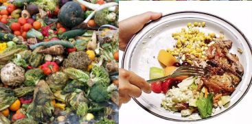 105 million tons of food will be wasted globally in 2022