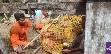 A housewife was rescued after falling into a well after seeing a wild boar