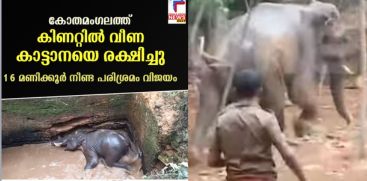 /wild-elephant-fell-in-to-well-in-kothamangalam