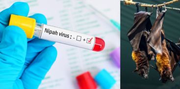 Route map of 14-year-old confirmed by Nipah