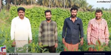 A group of four complete a success story in vegetable farming