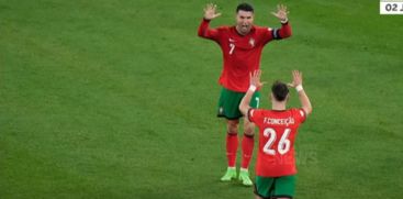 Portugal in the quarter-finals of the Euro Cup