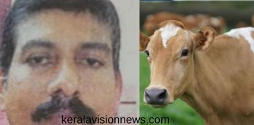 driver who sold the cow in the medical college campus