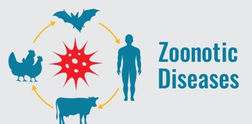 Zoonotic Diseases