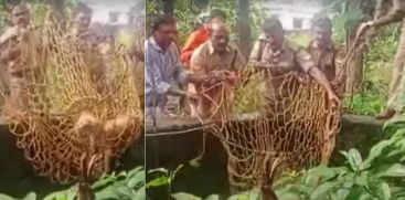 Stray Dog Rescued From Well In Kottayam