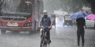 Heavy rain will continue in the state for 3 more days; Red alert in 3 districts