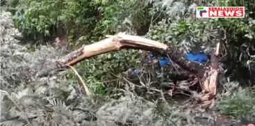 A branch of a tree fell on top of the vehicle which was running on the second mile road in Anachal