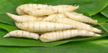 Arrowroot and health secrets