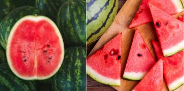 National Watermelon Day - August 3