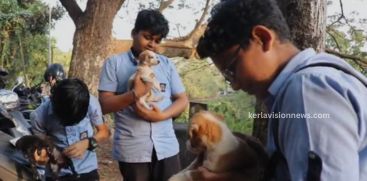 Students and locals came to aid the little puppies