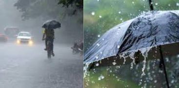 Kerala Rain Updates; Orange Alert in 3 Districts