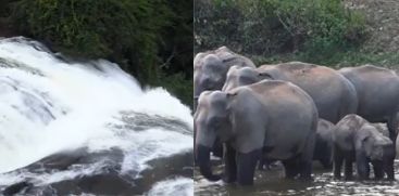  Aanakulam Waterfalls