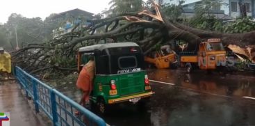 In Thrissur, the top of a big tree broke and fell; autorickshaws broke down