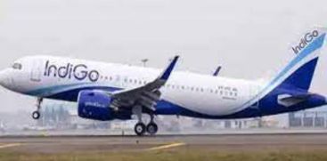 Indigo orders 500 Airbus A320 aircrafts