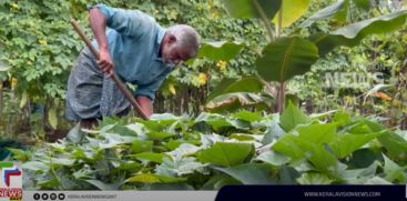 Maintains 96 varieties of vegetables; Krishnan turned his farm into an agricultural university