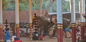 Koyilandy Elephant Incident