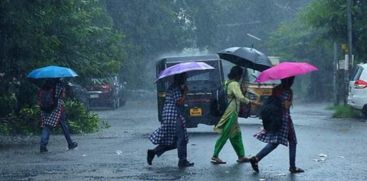 
Heavy rains in the state; Orange alert in eight districts