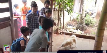 Owner abandoned pet dog with eye disease in Chowvannoor, Kunnamkulam