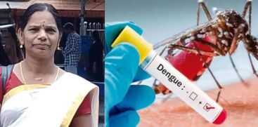 dengue fever death in Thrissur