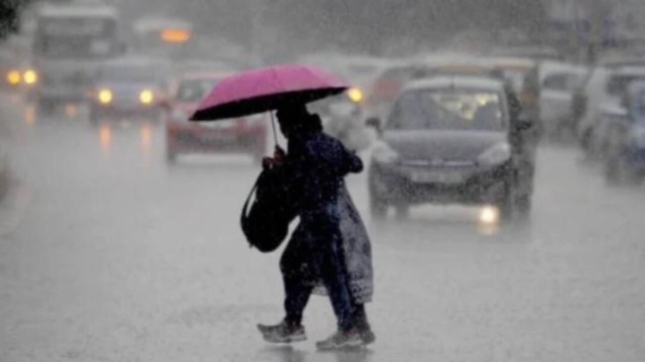 rain alert kerala seven districts have orange alert