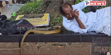 snake-crawling-through-body-of-old-man-who-resting-under-the-shade-of-peepal-tree