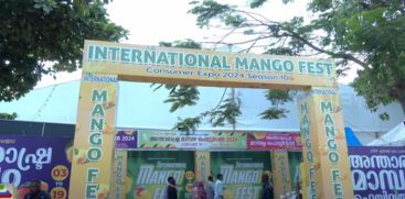 Mango Festival on Marine Drive to taste hundreds of mangoes