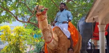 Nikesh Kannan, a native of Thrissur, made a curiously alive camel statue