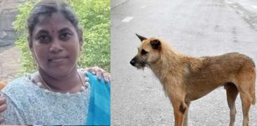 stray dog jumped across scooter, injured women dies