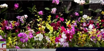 The Cochin Flower Show is a feast  with flowers of various colors