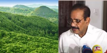 Significant Changes Proposed to Forest Act