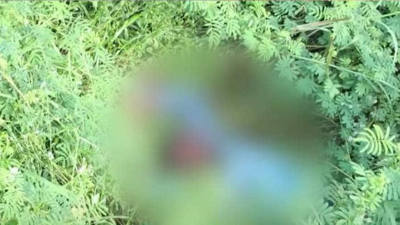 MIDDLE AGED MAN FOUND DEAD IN KUMBALA IHRD COLLEGE