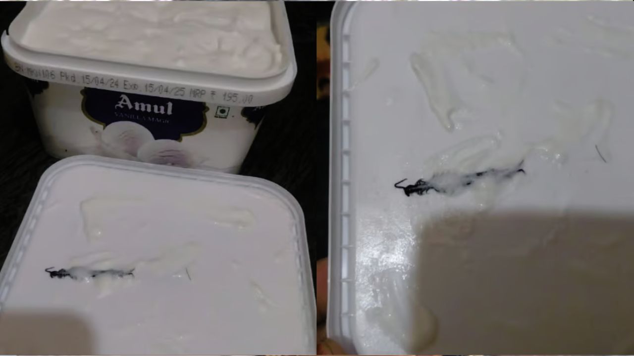 woman-finds-centipede-inside-ice-cream-tub-ordered-online