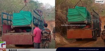 The tiger caged in Kogalapara was shifted to Thrissur Puthur Zoological Park