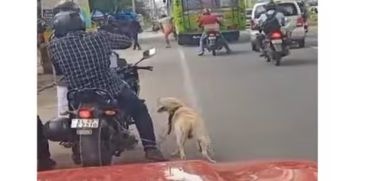 dog tied behind bike in Aluva