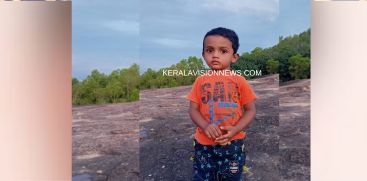 THREE AND HALF YEAR OLD BOY DIES IN ACCIDENT